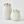 Load image into Gallery viewer, Sand Dollar Vase Collection in White