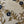 Load image into Gallery viewer, Juliette Pillow in Indigo on Natural - 20 x 20 - SHOP by Interior Archaeology