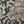 Load image into Gallery viewer, Nadine Pillow in Olive on Natural - 20 x 20 - SHOP by Interior Archaeology