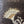 Load image into Gallery viewer, Odette Pillow in Ochre / Coco (Reversible) - 20 x 20 - SHOP by Interior Archaeology