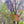 Load image into Gallery viewer, Original Oil on Canvas, "Farmhouse Scene" by Karl Brandner - SHOP by Interior Archaeology