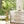 Load image into Gallery viewer, Bauhinia Brass Bud Vase & Jewelry Dish - SHOP by Interior Archaeology
