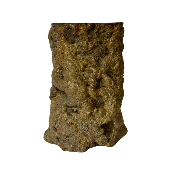 Burl Wood Spot Table from Antique Log - B - SHOP by Interior Archaeology