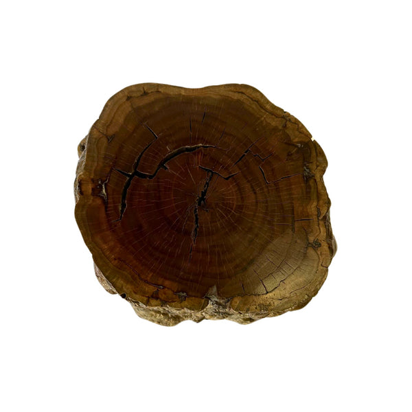 Burl Wood Spot Table from Antique Log - B - SHOP by Interior Archaeology