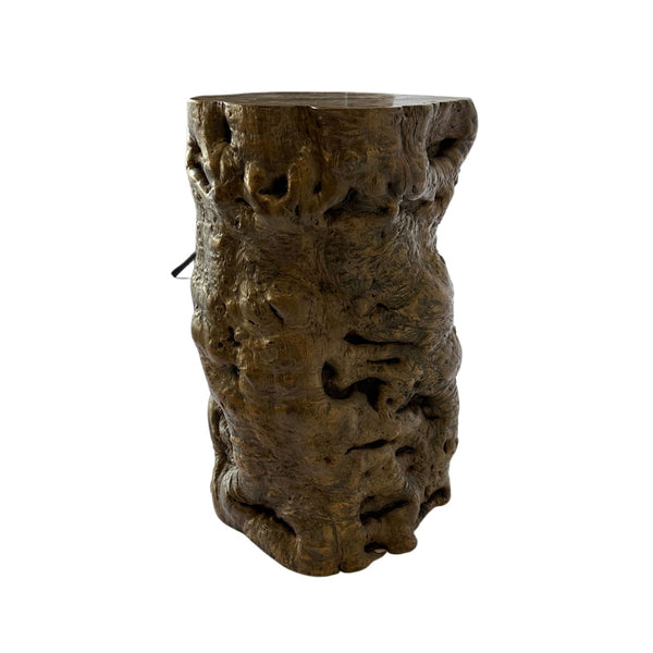 Burl Wood Spot Table from Antique Log - C - SHOP by Interior Archaeology