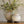 Load image into Gallery viewer, Desert Water Pot with Iron Base - SHOP by Interior Archaeology