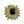 Load image into Gallery viewer, Handmade Ceramic Cactus Vase - SHOP by Interior Archaeology
