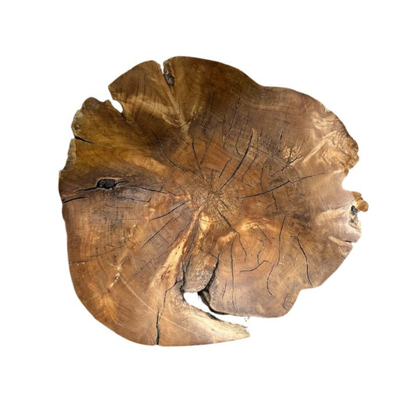 Large Root Accent Table - SHOP by Interior Archaeology