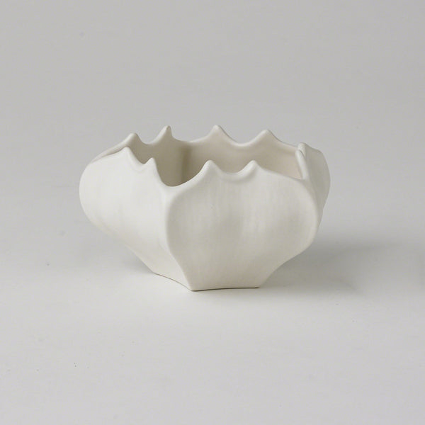 Mini Star Fruit Collection - SHOP by Interior Archaeology