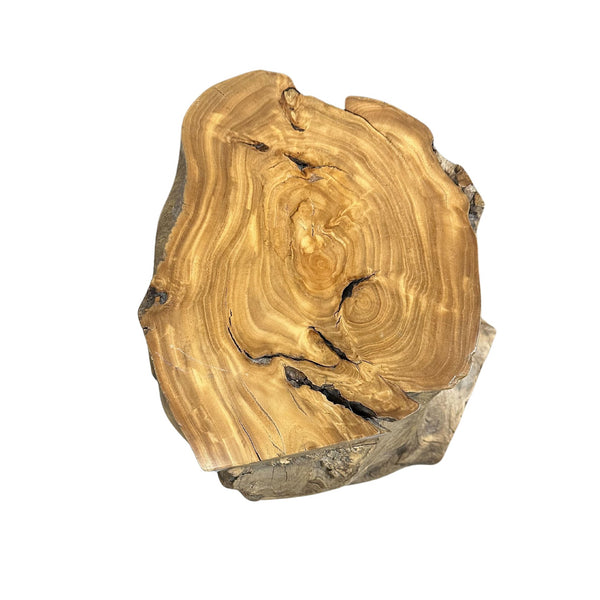 Natural Root Accent Table - SHOP by Interior Archaeology