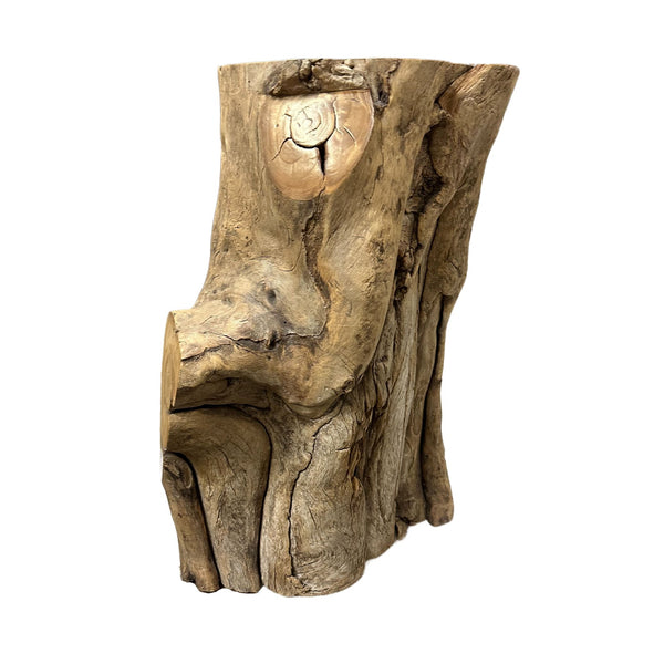 Natural Root Accent Table - SHOP by Interior Archaeology