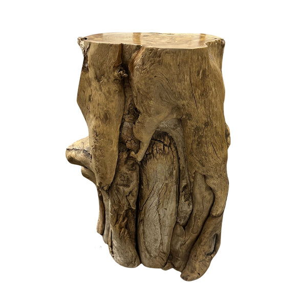 Natural Root Accent Table - SHOP by Interior Archaeology