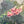 Load image into Gallery viewer, Original Oil on Board, "Path by the Garden" by Carle Boog - SHOP by Interior Archaeology