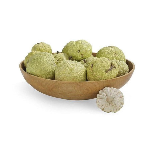 Set of Rare Ceramic Osage Oranges (Mary Kirk Kelly) - SHOP by Interior Archaeology