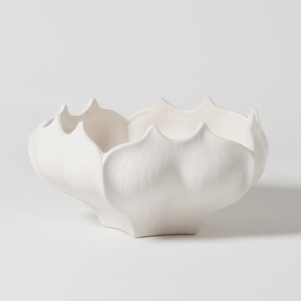 Star Fruit Collection - SHOP by Interior Archaeology