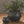 Load image into Gallery viewer, Thielo Matte Black Vase - SHOP by Interior Archaeology