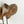 Load image into Gallery viewer, Vintage Papier Mache Animal Head Sculptures (Set of 2) - SHOP by Interior Archaeology