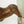 Load image into Gallery viewer, Vintage Papier Mache Animal Head Sculptures (Set of 2) - SHOP by Interior Archaeology