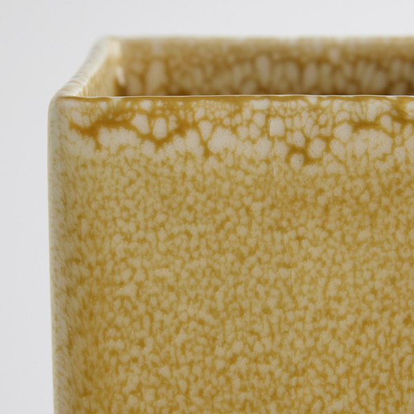 Crocus Vase Collection in Reactive Mustard