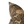 Load image into Gallery viewer, Farrfaccio Pillow in Olive Crane Velvet -  19.5 x 19.5
