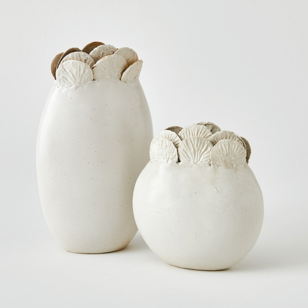 Sand Dollar Vase Collection in White