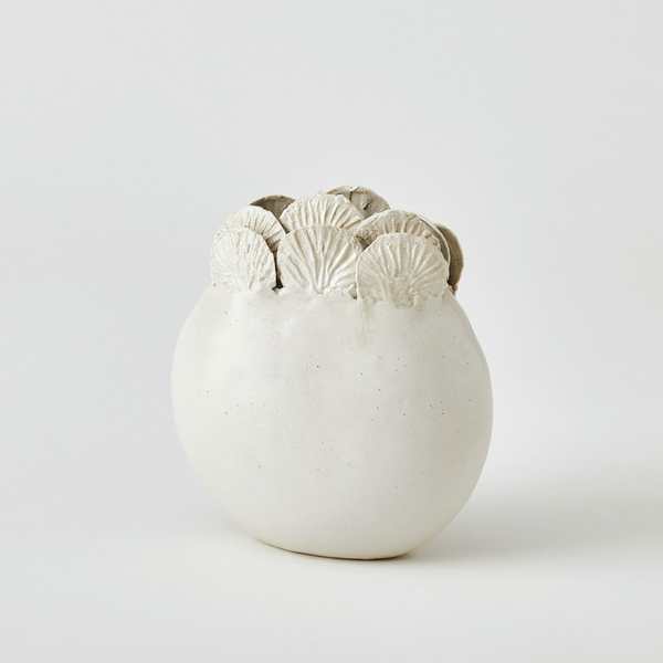 Sand Dollar Vase Collection in White
