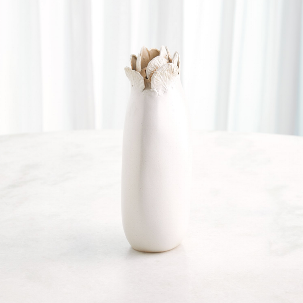 Sand Dollar Vase Collection in White