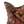 Load image into Gallery viewer, Oraya Turkish Pillow - 19 x 19
