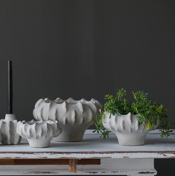 Shallow Concrete Lucid Planter Collection