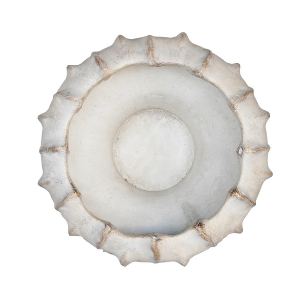 Shallow Concrete Lucid Planter Collection