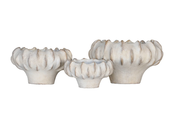 Shallow Concrete Lucid Planter Collection