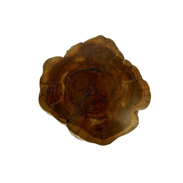 Burl Wood Spot Table from Antique Log - C - SHOP by Interior Archaeology