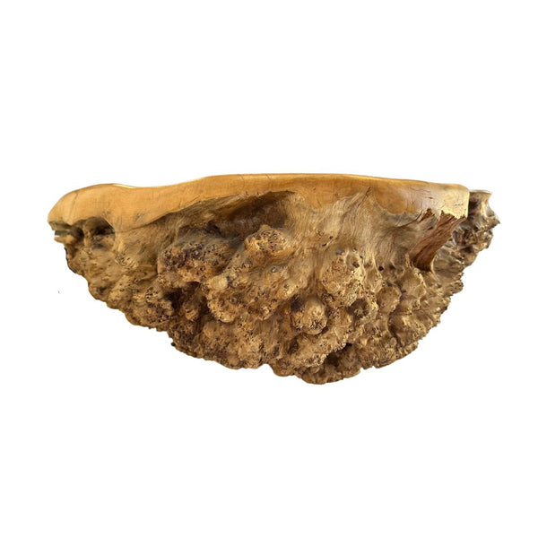 Grand-Scale Antique Burl Wood Root Bowl - SHOP by Interior Archaeology