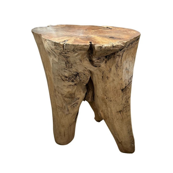 Large Root Accent Table - SHOP by Interior Archaeology