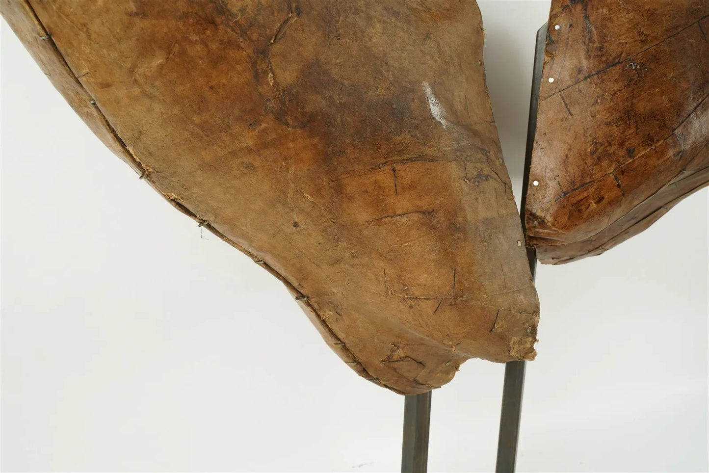Vintage Papier Mache Animal Head Sculptures (Set of 2) - SHOP by Interior Archaeology